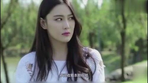 张馨予表姐爆料视频合集,揭秘娱乐圈不为人知的一面